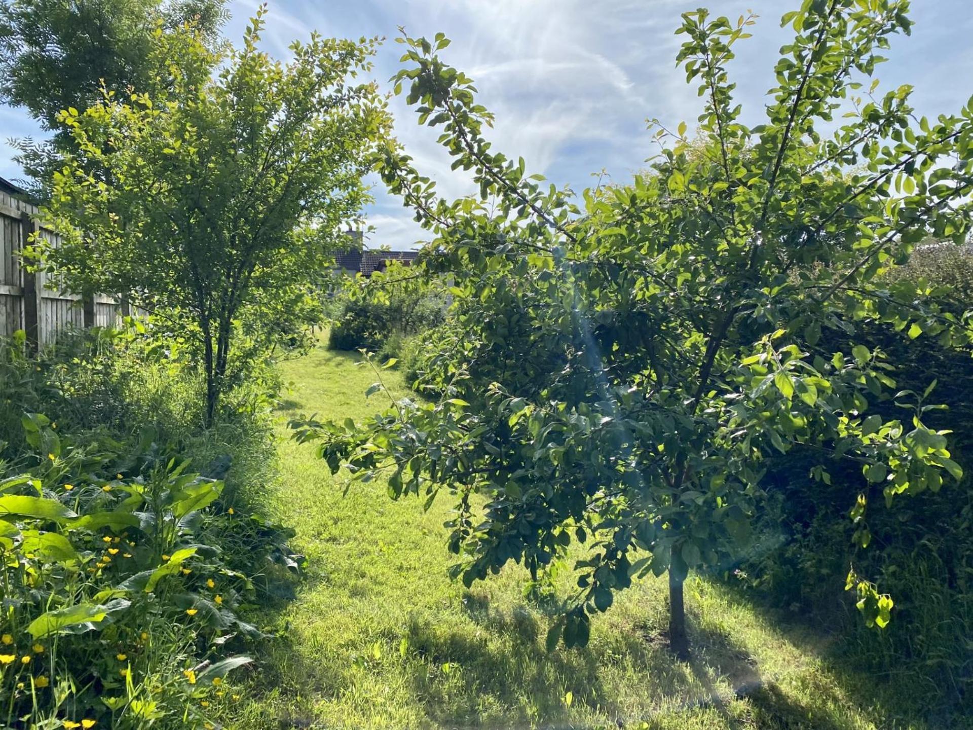 Fairhill Cottage Perfect Location With Garden In Central Ballycastle Exterior foto